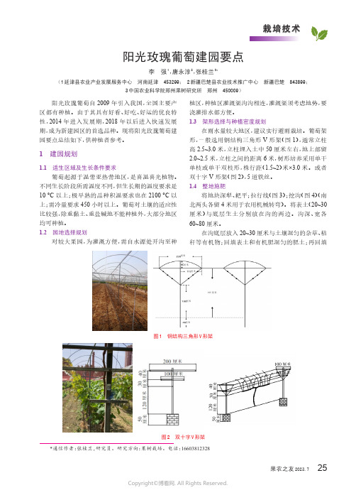 阳光玫瑰葡萄建园要点