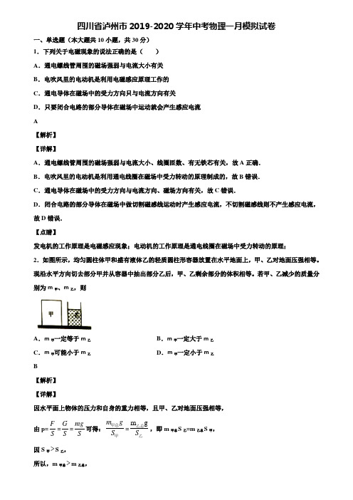 四川省泸州市2019-2020学年中考物理一月模拟试卷含解析