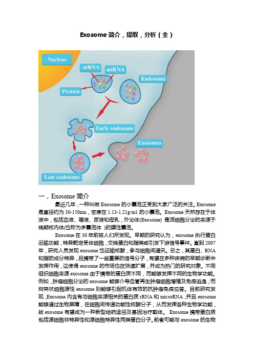 外泌体 Exosome