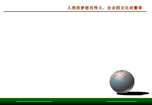 某公司战略咨询项目研究报告(ppt 64页)