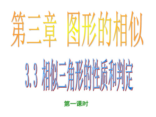 3.3相似三角形的性质和判定