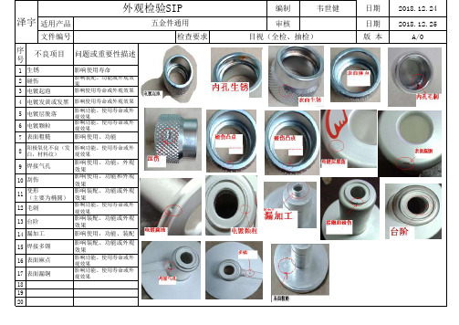 外观检验SIP