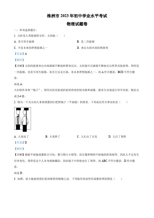 2023年湖南省株洲市中考物理试题(解析版)