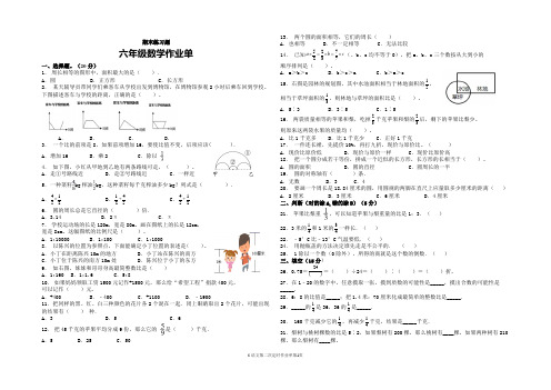 人教版数学6年级上册 总复习 期末练习题 (含答案)