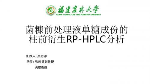 开题报告模板