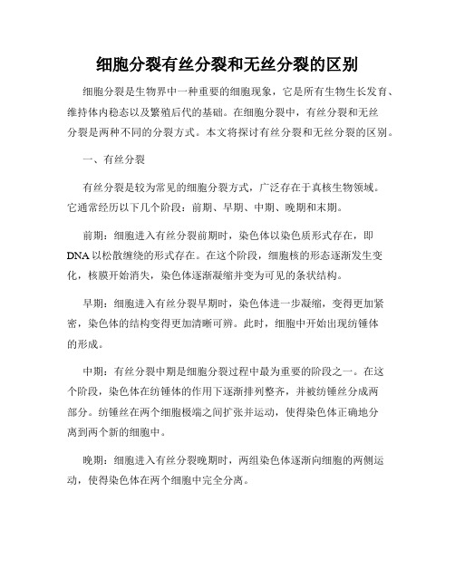 细胞分裂有丝分裂和无丝分裂的区别