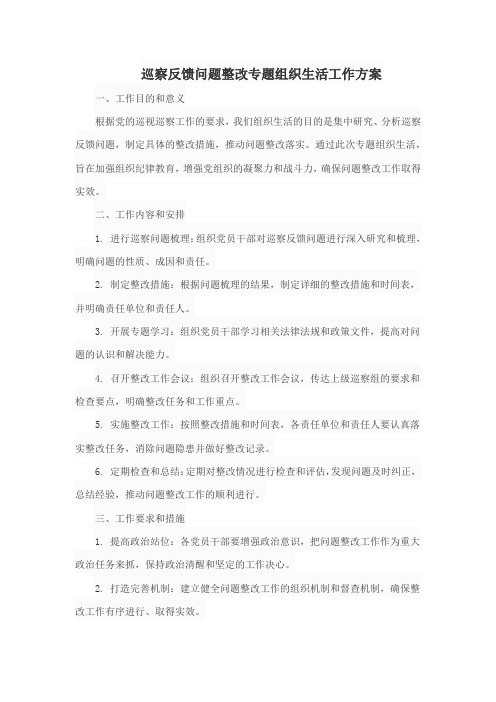 巡察反馈问题整改专题组织生活工作方案