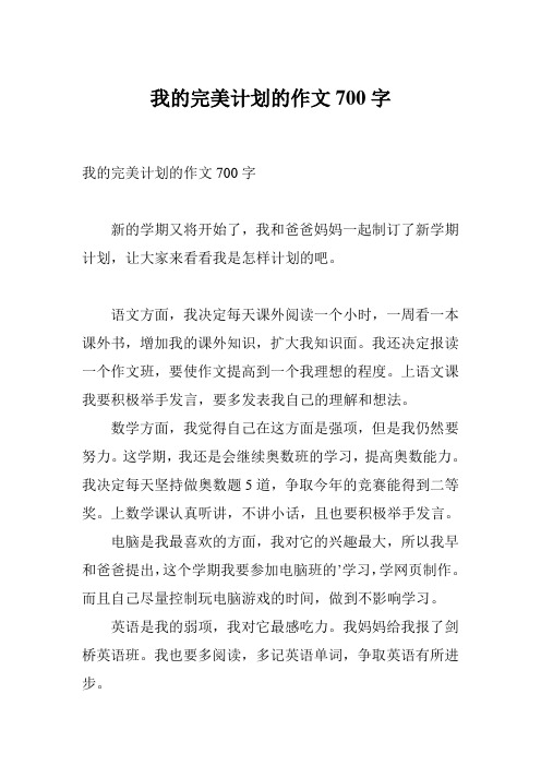 我的完美计划的作文700字