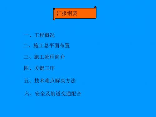 大年夜治河桥下承式系杆拱桥计划介绍最新