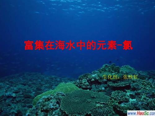 富集在海水中的元素——氯PPT课件1