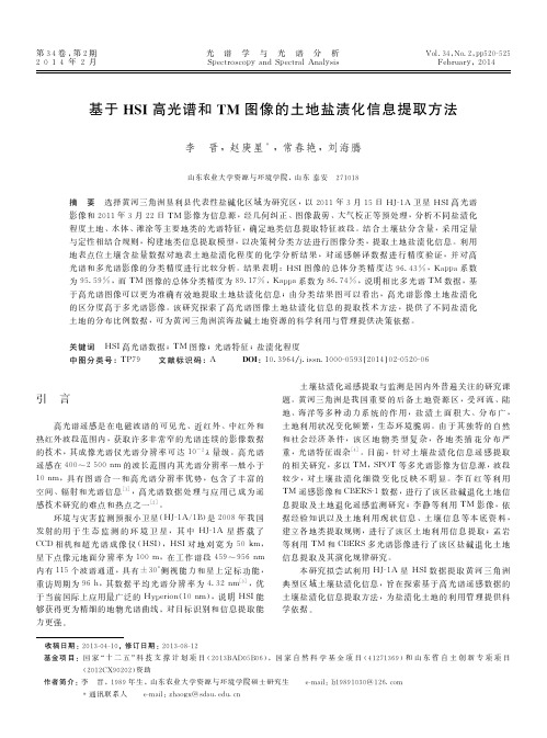 基于HSI高光谱和TM图像的土地盐渍化信息提取方法