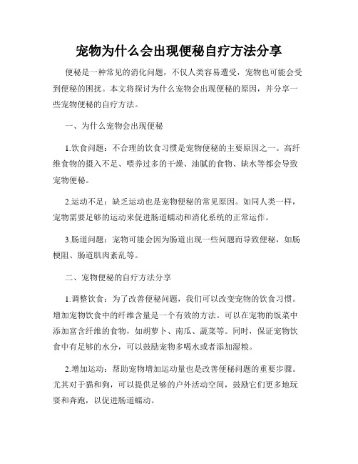 宠物为什么会出现便秘自疗方法分享