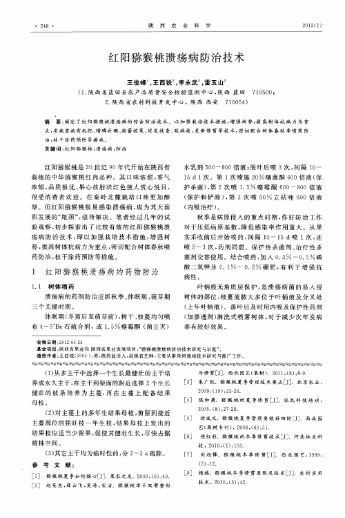 红阳猕猴桃溃疡病防治技术