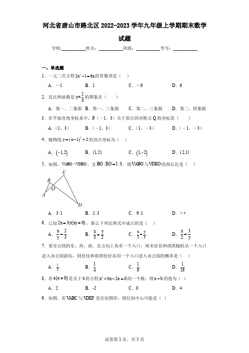 河北省唐山市路北区2022-2023学年九年级上学期期末数学试题