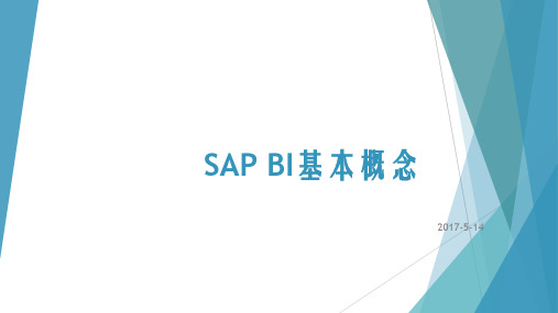 SAP BI基本概念