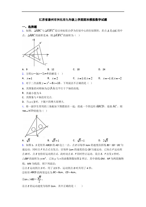 江苏省泰州市兴化市九年级上学期期末模拟数学试题