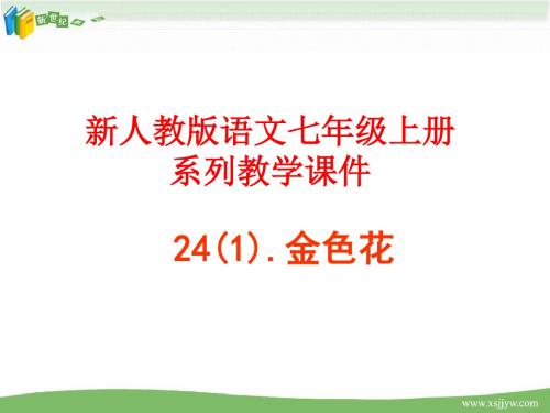 《散文诗两首·金色花·荷叶 母亲》精品教学资料包(绝对超一流精品,不下载使用太可惜)-3.ppt