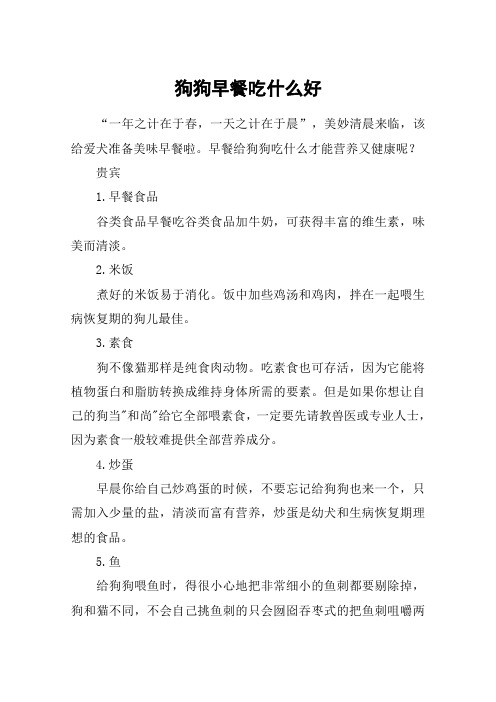狗狗早餐吃什么好