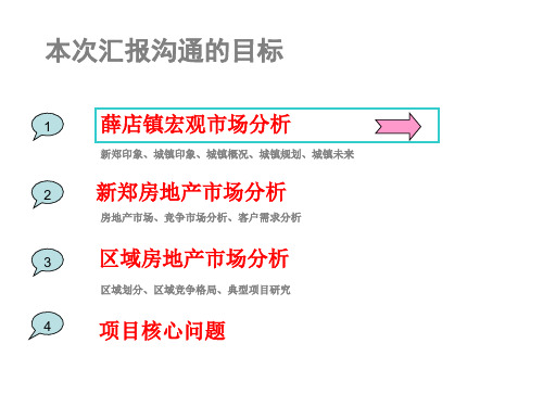 新郑薛店项目市场专项研究报告(定)