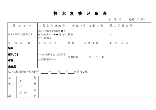 技术复核记录表(模板)3