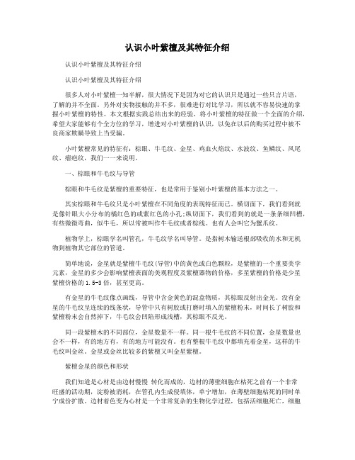 认识小叶紫檀及其特征介绍