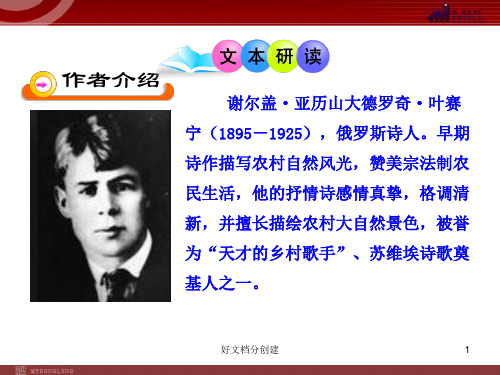 (最新修订)新课标初中语文教学课件:4 外国诗两首(人教版九年级上)_21-25