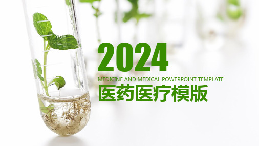 2024医疗行业模板大全