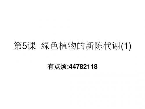 九年级科学绿色植物的新陈代谢2(2019年8月整理)