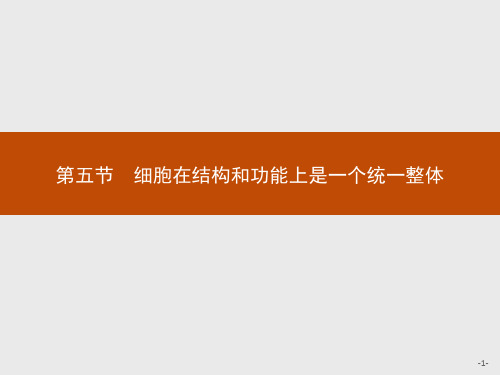 浙教版高中生物必修1 第二章 第五节 细胞在结构和功能上是一个统一整体