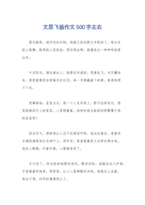 文思飞扬作文500字左右