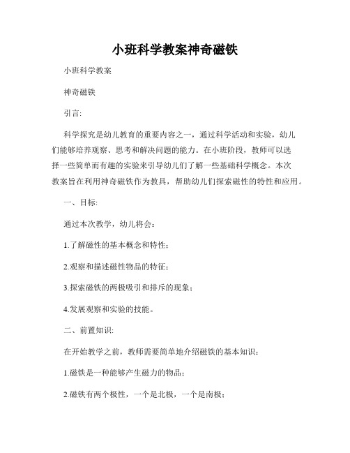 小班科学教案神奇磁铁