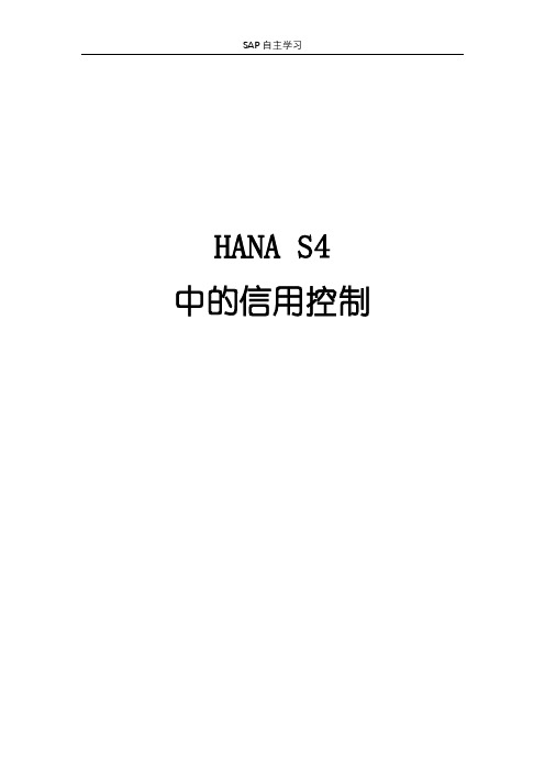 SAP-SD信用控制操作手册(HANA-S4)