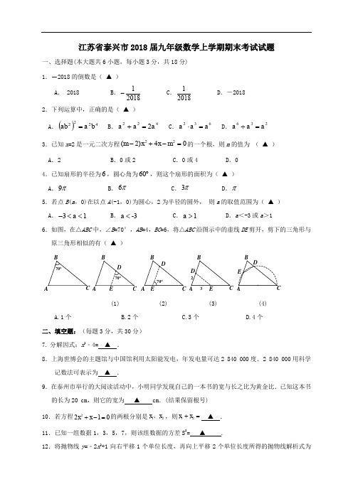 江苏省泰兴市2018届九年级数学上学期期末考试试题苏科版