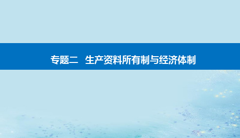 2023高考政治二轮专题复习与测试专题二生产资料所有制与经济体制课件