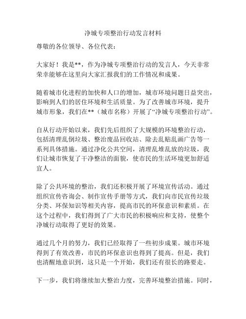 净城专项整治行动发言材料