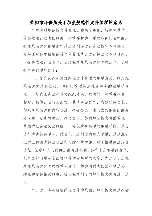 关于加强规范性文件管理的意见 (2)