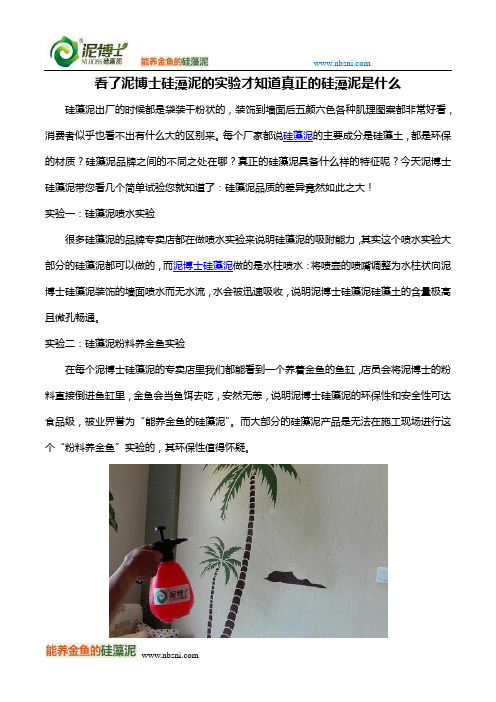 看了泥博士硅藻泥的实验才知道真正的硅藻泥是什么