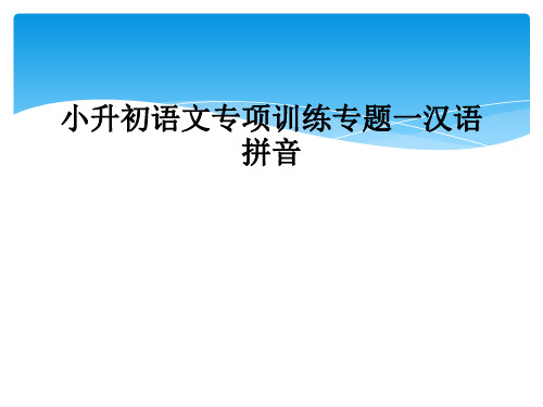 小升初语文专项训练专题一汉语拼音