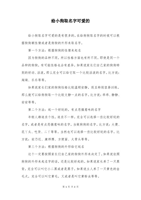 给小狗取名字可爱的