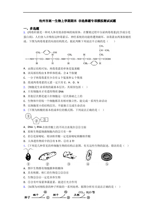 沧州市高一生物上学期期末 非选择题专项模拟测试试题