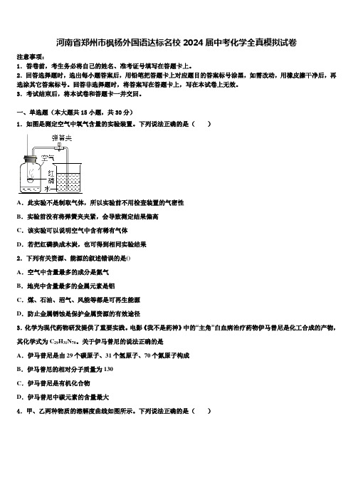 河南省郑州市枫杨外国语达标名校2024届中考化学全真模拟试卷含解析