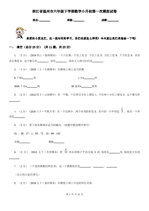 浙江省温州市六年级下学期数学小升初第一次模拟试卷