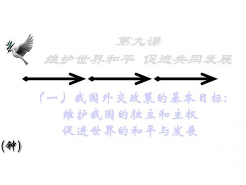 维护世界和平,促进共同发展PPT课件6 人教课标版