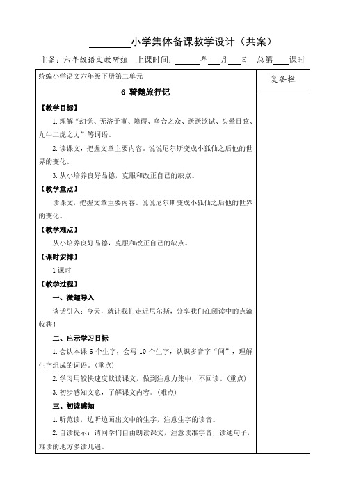 人教部编版六年级语文下册：6骑鹅旅行记教案