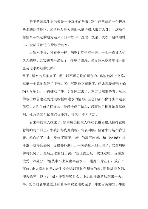 老牛的母爱阅读理解及答案