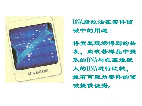 高中生物必修一第二节 遗传信息的携带者核酸 人教版