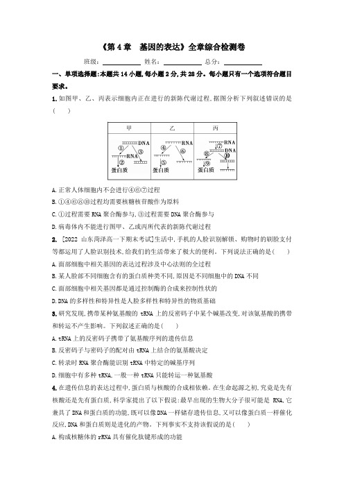 第4章 基因的表达全章综合检测卷 2022-2023学年高一下学期生物人教版2019 必修2