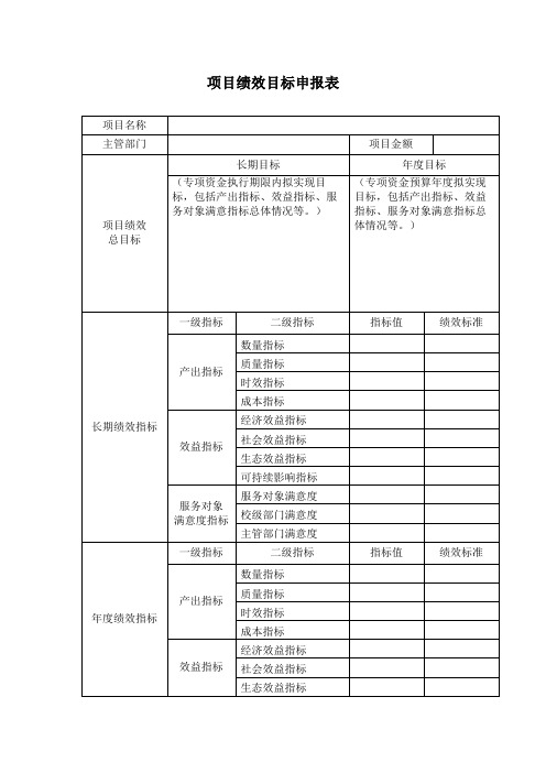 绩效目标申报表