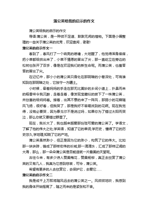 蒲公英给我的启示的作文