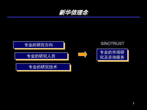 新华信市场研究及咨询PPT